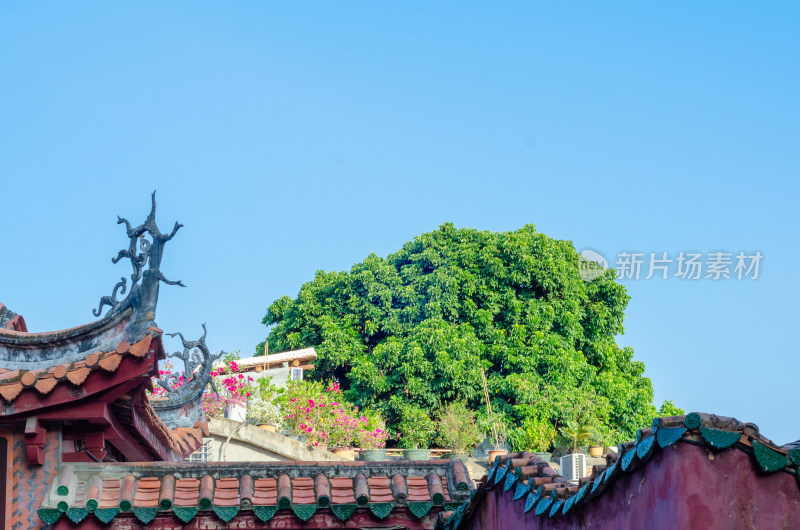 福建泉州开元寺