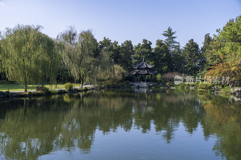 杭州西湖花港观鱼风景