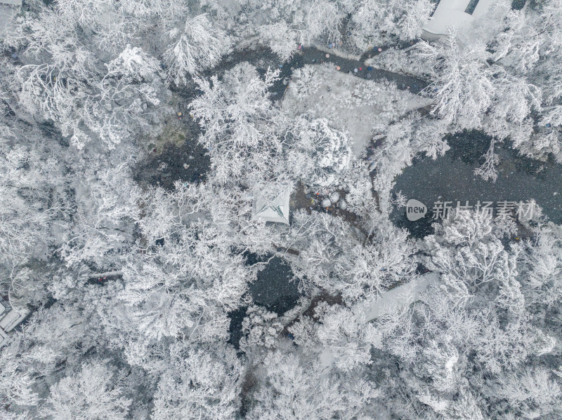 爱晚亭雪景