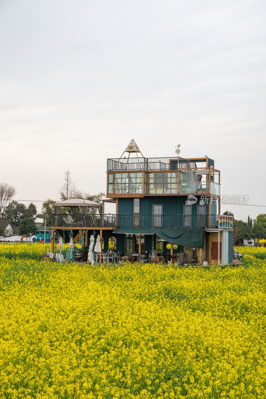 四川德阳广汉高坪镇西高万亩油菜花基地春天