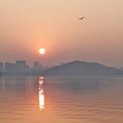 湖面日出飞鸟城市远景