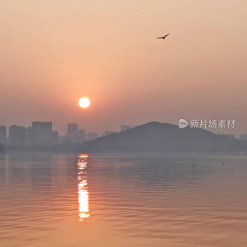 湖面日出飞鸟城市远景