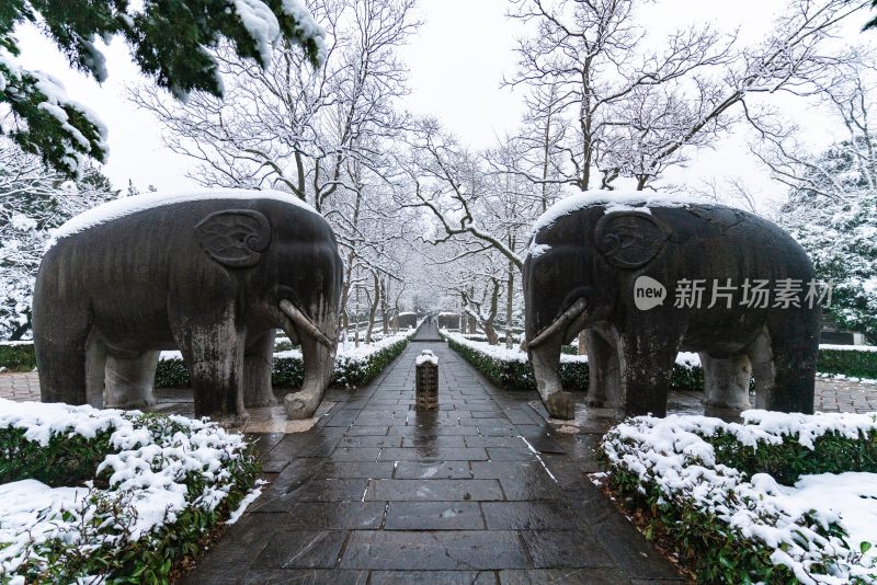 被白雪覆盖的南京明孝陵石像路