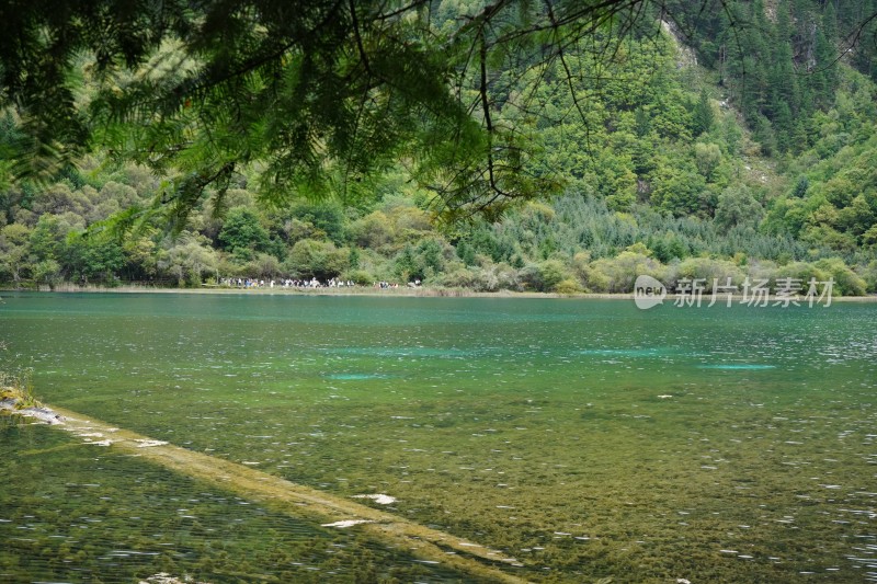 四川阿坝藏族羌族自治州九寨沟景区