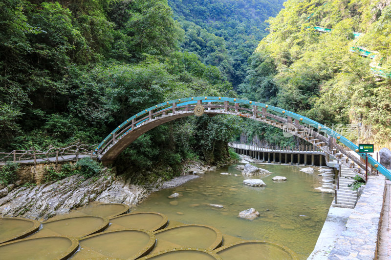 湖北宜昌三峡竹海风景区，自然风光，竹海