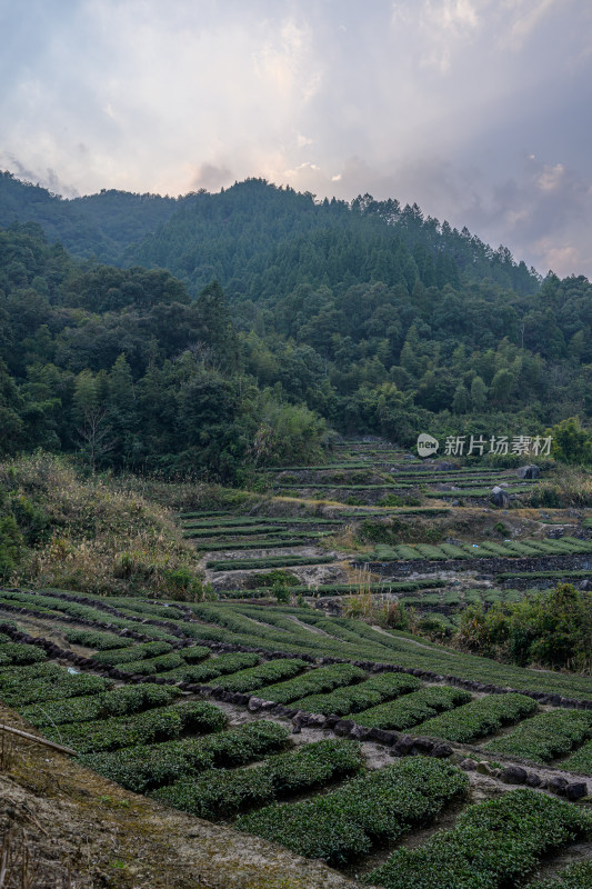 山间梯田自然风光