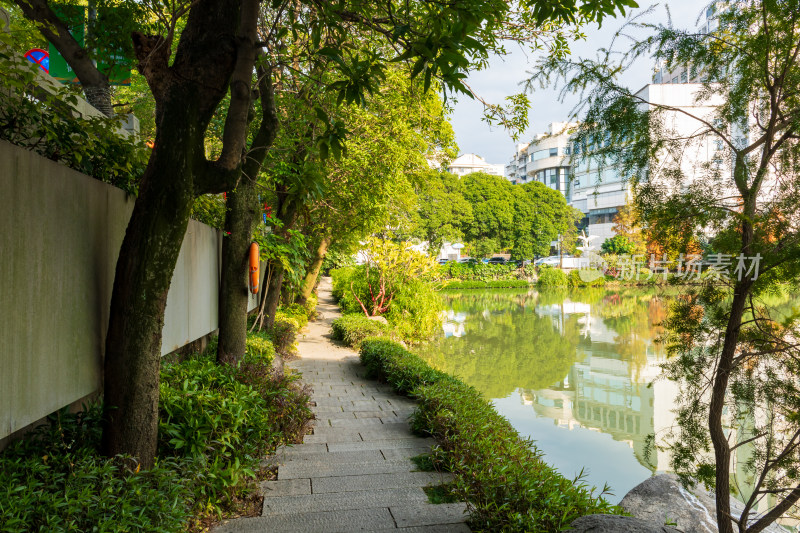 福州黎明湖公园景色