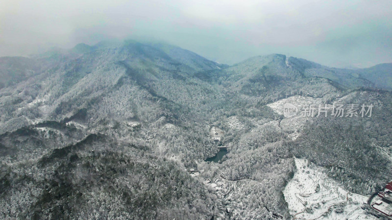 森林雪景