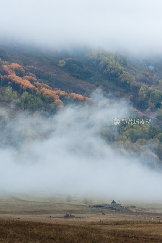 大雾弥漫的新疆禾木秋景