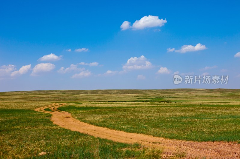 内蒙古希拉穆仁草原
