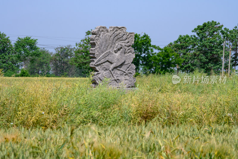 河南巩义夏季麦田里的古代宋陵石像