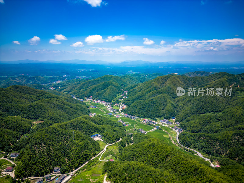 祖国大好河山南岳衡山竹林航拍图