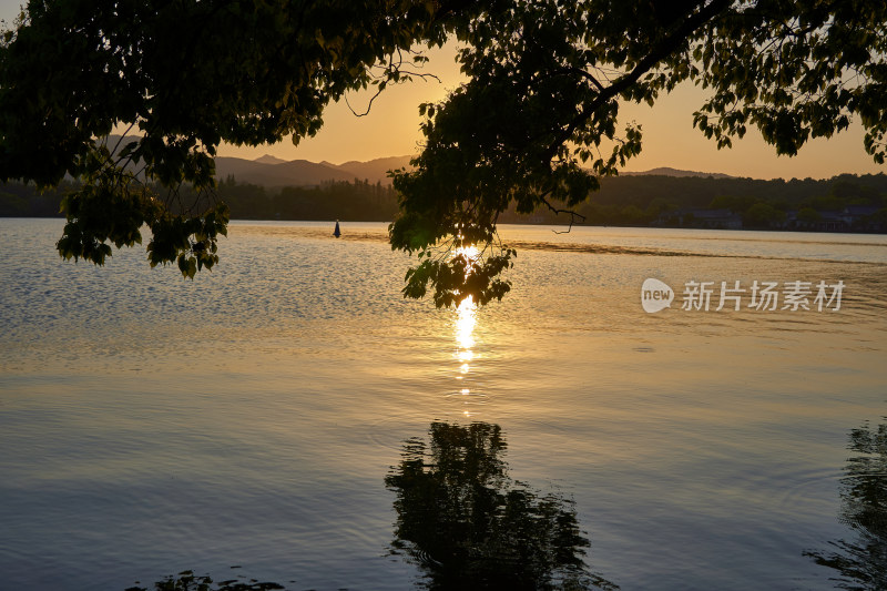 西湖的金色夕阳美景