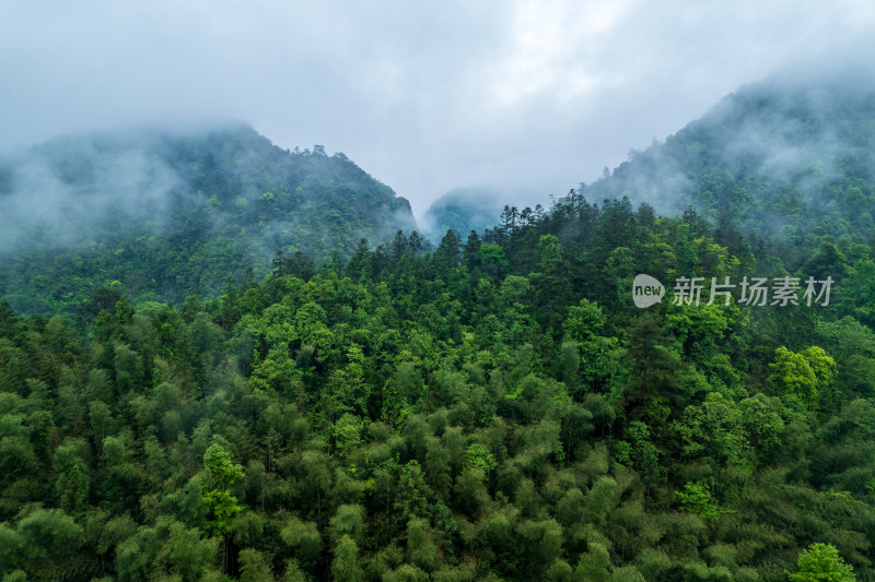 山林云雾缭绕自然景观