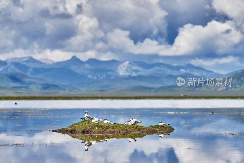 甘肃尕海湖美景