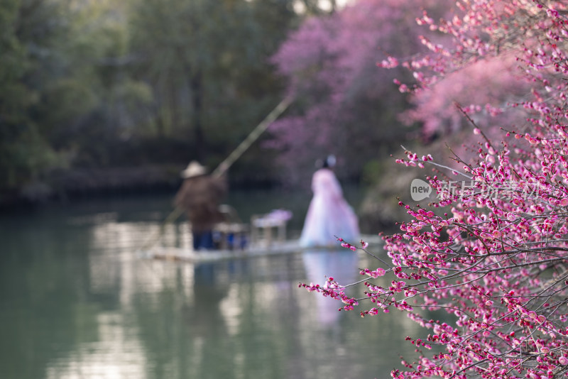 江南古风女子泛舟赏梅