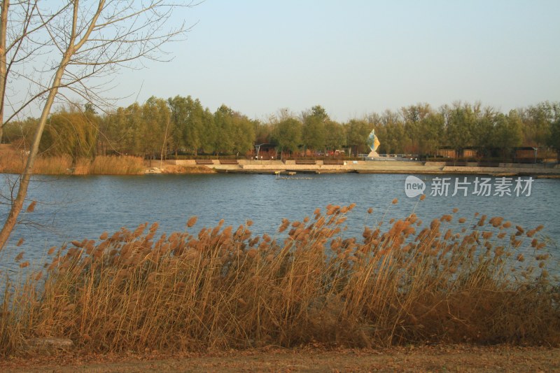 北京马家湾湿地公园