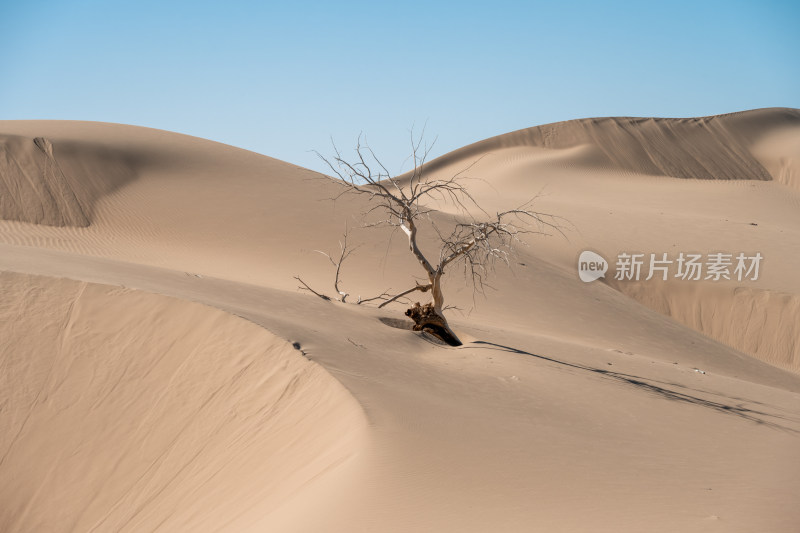 沙漠无人区荒漠黄昏荒凉戈壁