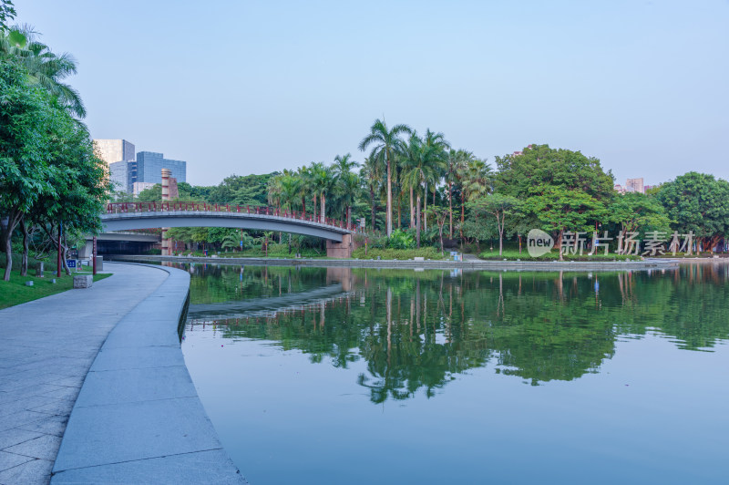 佛山千灯湖公园湖泊树林景观