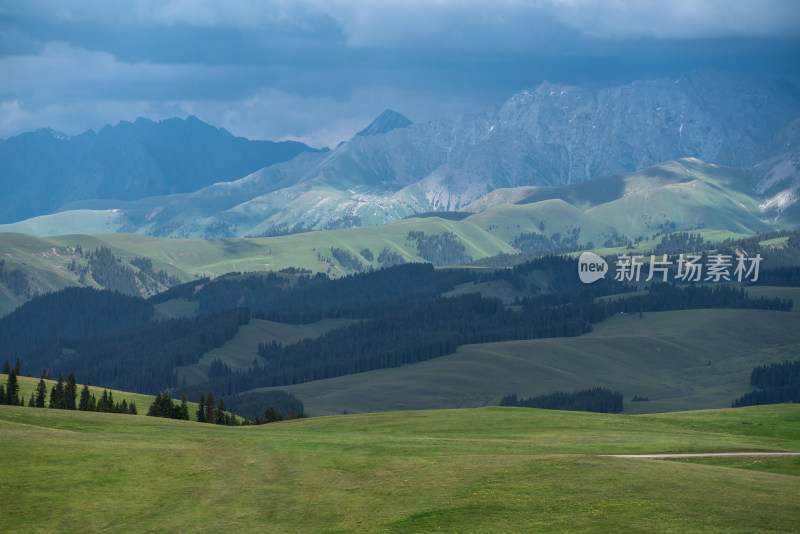 中国新疆伊犁喀拉峻大草原自然风景