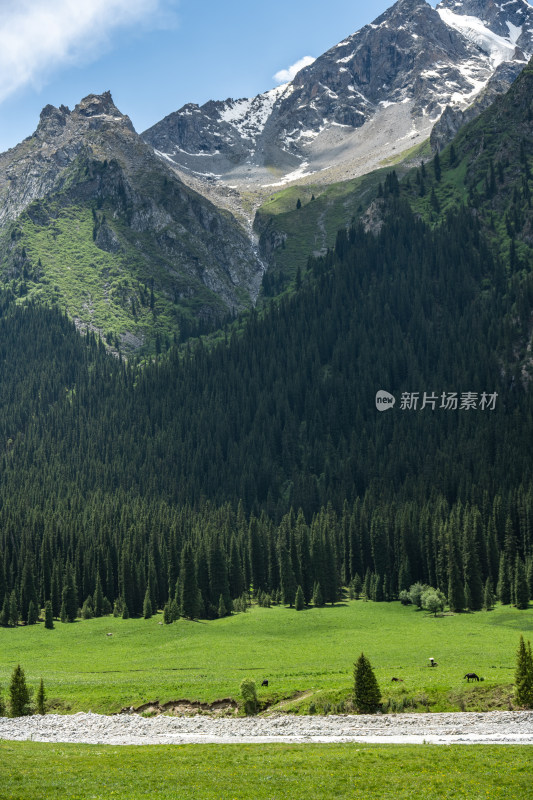 昭苏夏塔景区