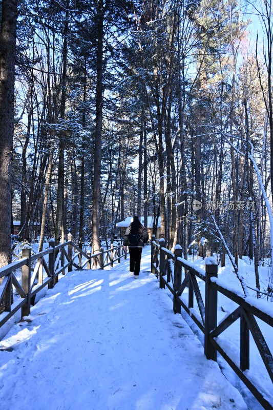 雪中森林栈道上独自行走的人