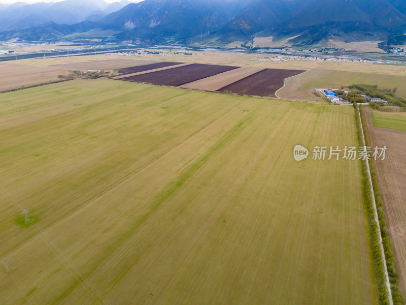 平原农业种植航拍图