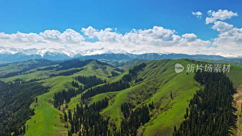 航拍雪山森林自然风光