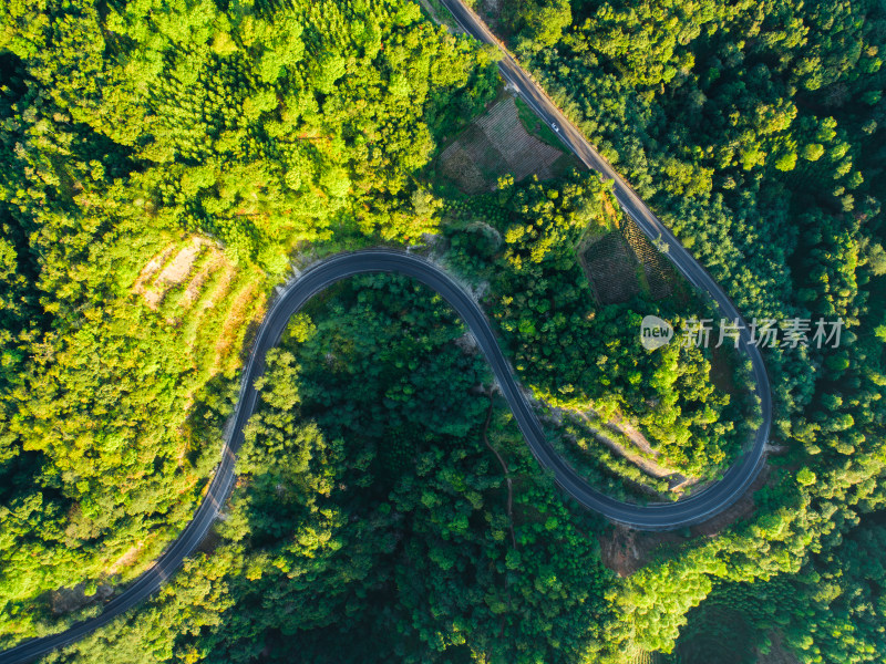 蜿蜒公路穿越茂盛丛林的鸟瞰图