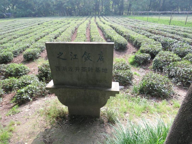 杭州九溪烟树景区