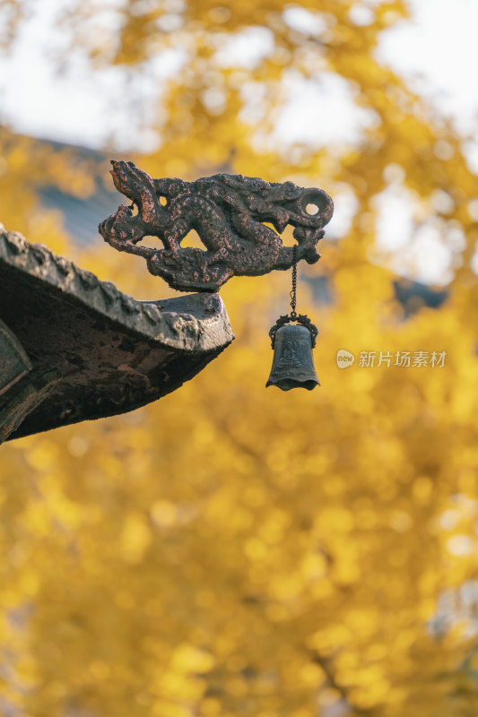 柳州灵泉寺-银杏树背景的挂着铃铛的金属龙