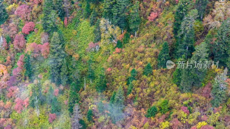 阿坝州黄龙风景名胜区秋色