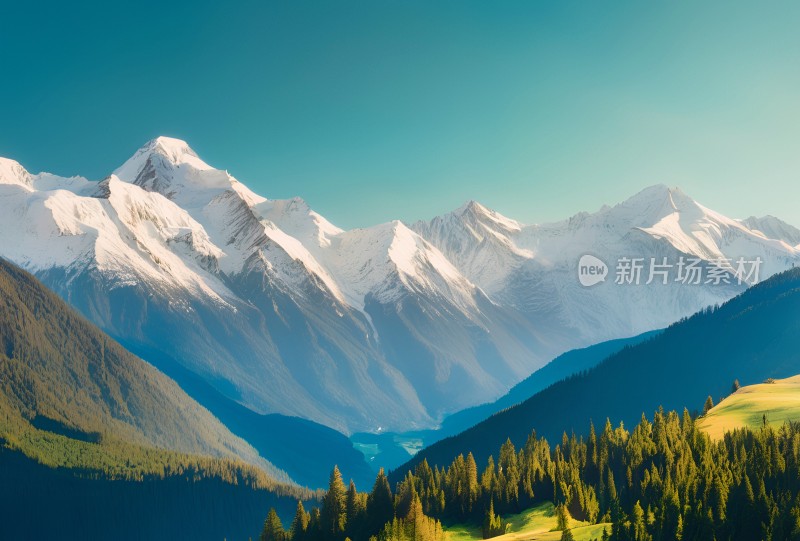 雪山草原森林风景