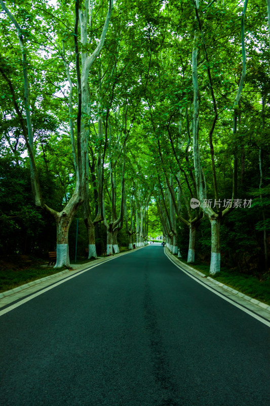 南京金陵的风景