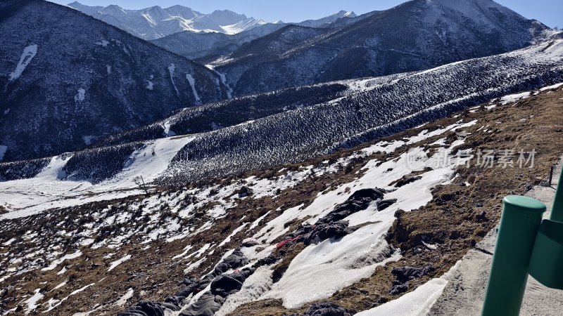 雪山背景下的山坡景象