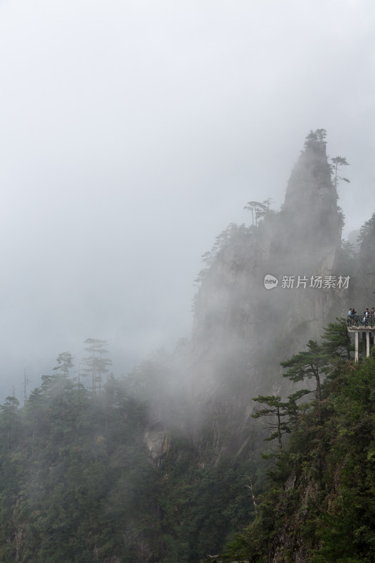 云海中的大明山