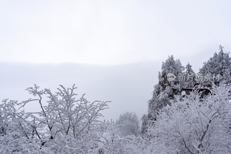 寒冷冬季大雪冰冻雾凇