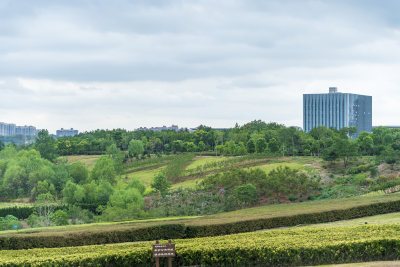 武汉江夏区二妃生物公园风景