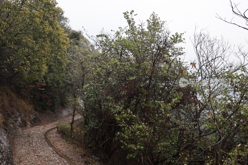 山间蜿蜒的碎石小路