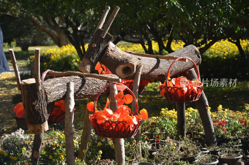 公园中的动物景观