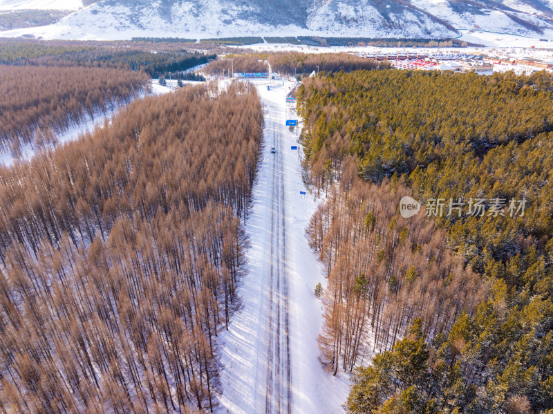 冬季森林中的道路航拍全景