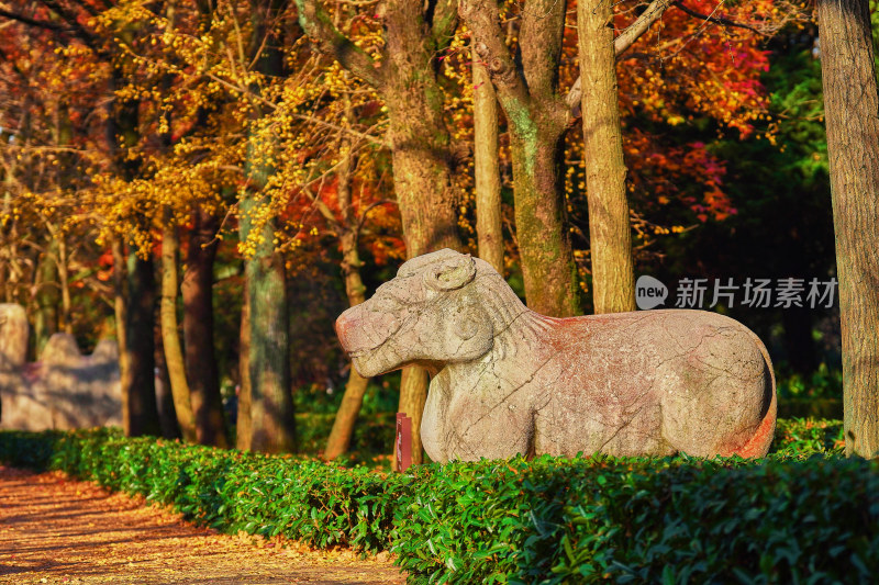 南京钟山石像路