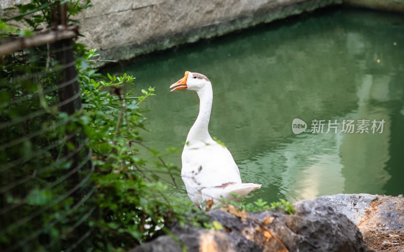 江苏省淮安沈坤状元府