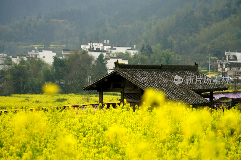 古村落婺源徽派建筑古建筑古遗址