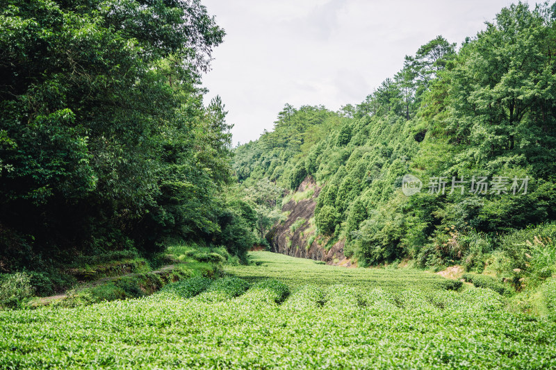 南平武夷山