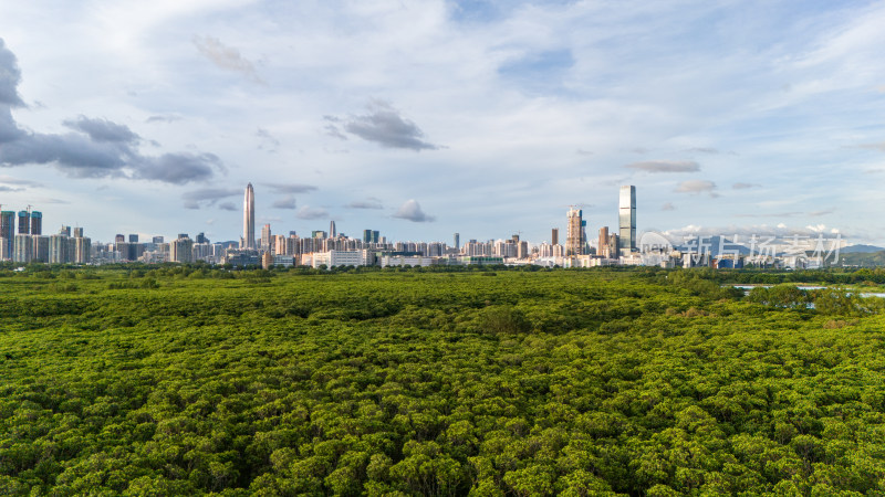 香港米埔自然护理区