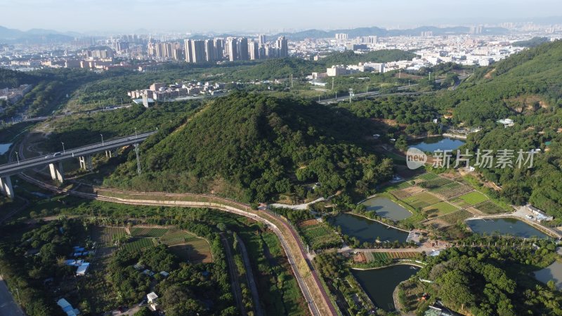 广东东莞：清溪镇城市风光