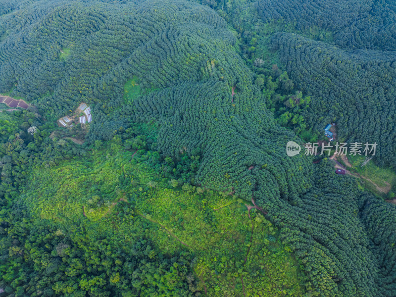 航拍绿意盎然的广袤山林自然景观