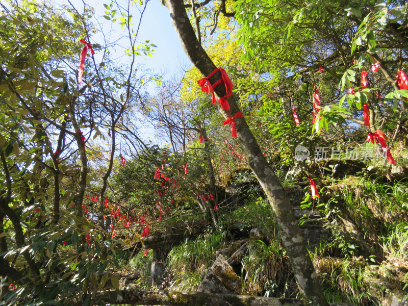 张家界天门山