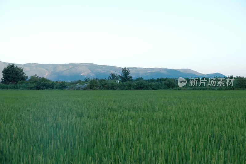 田野风光与远处山峦